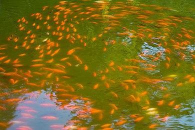 《博德之门3》玩家平均每天玩5小时 超CSGO两倍